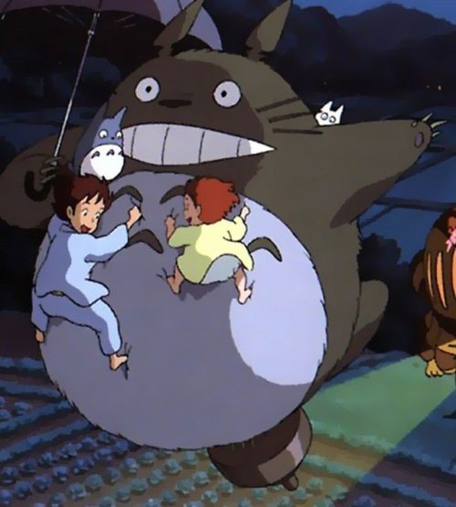 pokemon-i-choose-you: Oh my god it’s a fucking Totoro reference