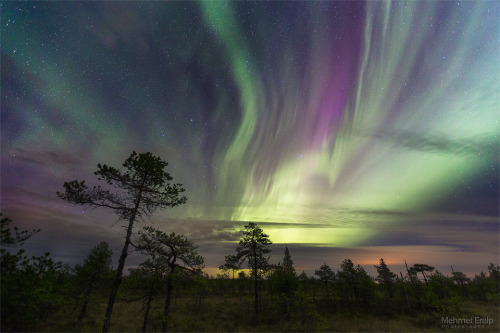 Porn photo radivs:  Reflected Magic, Aurora Shower,