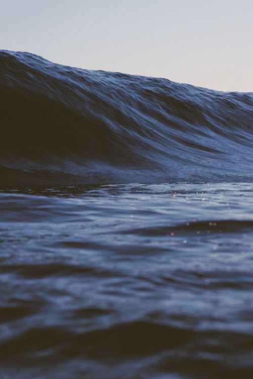 wolverxne:  Untitled | by: { Ryan Pernofski }