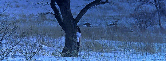 witchguardian:    Audition(dir. Takashi Miike, 1999)   
