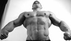 muscle-nerd:  Kocsis Csaba 
