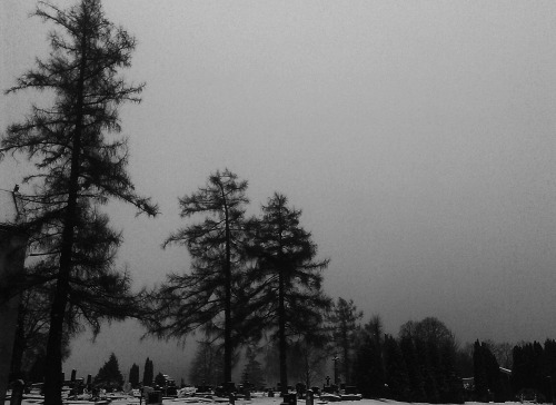 fire-above-ice-below:The graveyard in my small hometown, northwest Slovakia