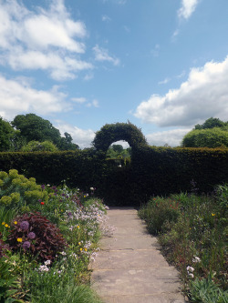 Merriments Garden