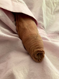 nottherifleman:uncutboxerguy:Nice snout. 