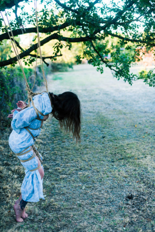 tied to tree