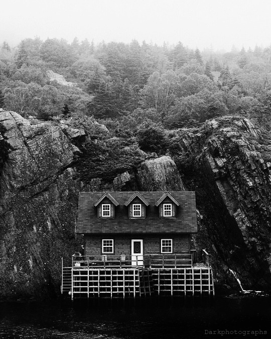 darkphotographs:   Dark  