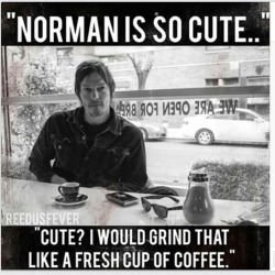 All Things Norman Reedus