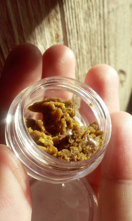 theprettylittlestoner:  Crumble make you mumble 😴 