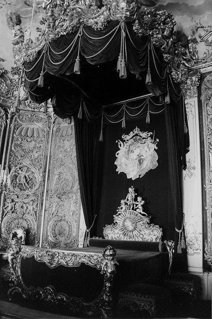 Elegance in Darkness