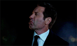 danaxscully:“Do you know who I am? I’m Fox Mulder. I was fighting the power and breaking conspiracie