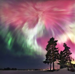 humanoidhistory:  The Aurora Borealis over the Sverdlovsk region of Russia’s northern Urals, photographed by Sergey Makurin. (RussiaTrek)