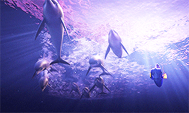 disneydaily: DisneyDaily’s Top 10 Animated Films: 8/10 Finding Dory A friend of mine, her name’s Sigourney, once told me that all it takes is three simple steps: rescue, rehabilitation, and um… one other thing? 