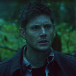 ･ﾟ✬Supernatural Last Ep~･ﾟ☼hope u like it. Follow us for much morelike or reblog this post if you sa