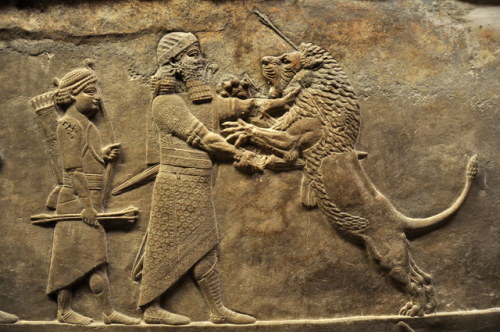 lionofchaeronea:Assyrian relief sculpture from the North Palace at Nineveh, depicting King Ashurbani