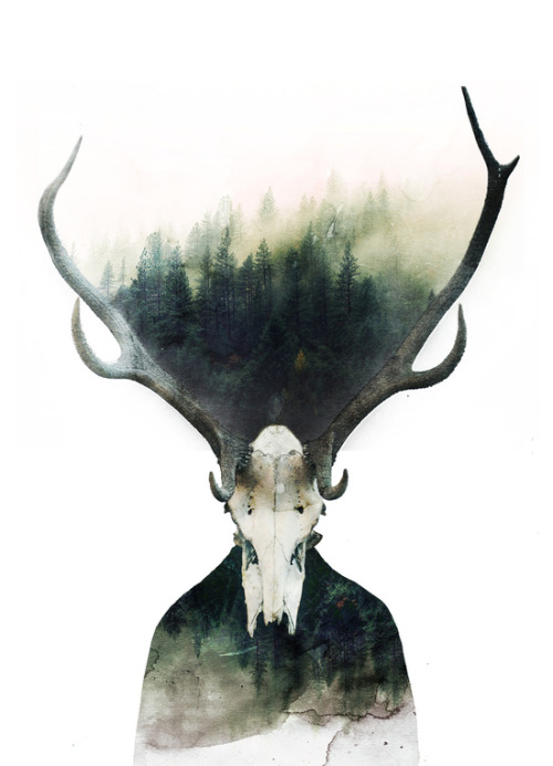 bestof-society6:ART PRINTS BY CAFELAB  Double Butterfly  Bear Brothers  Deer God 