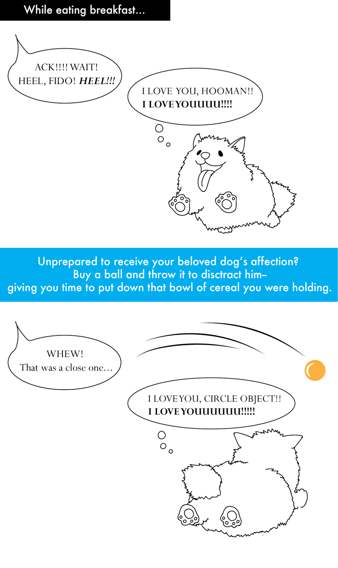 Why toys for pets exist