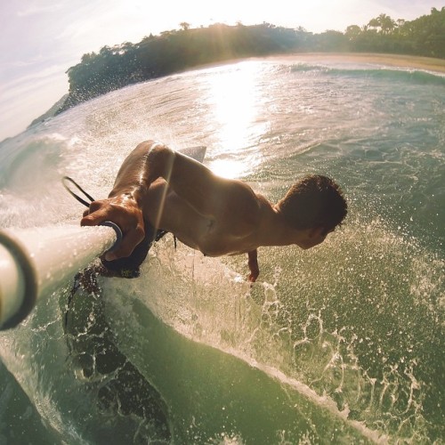 Paz, amor e skate!