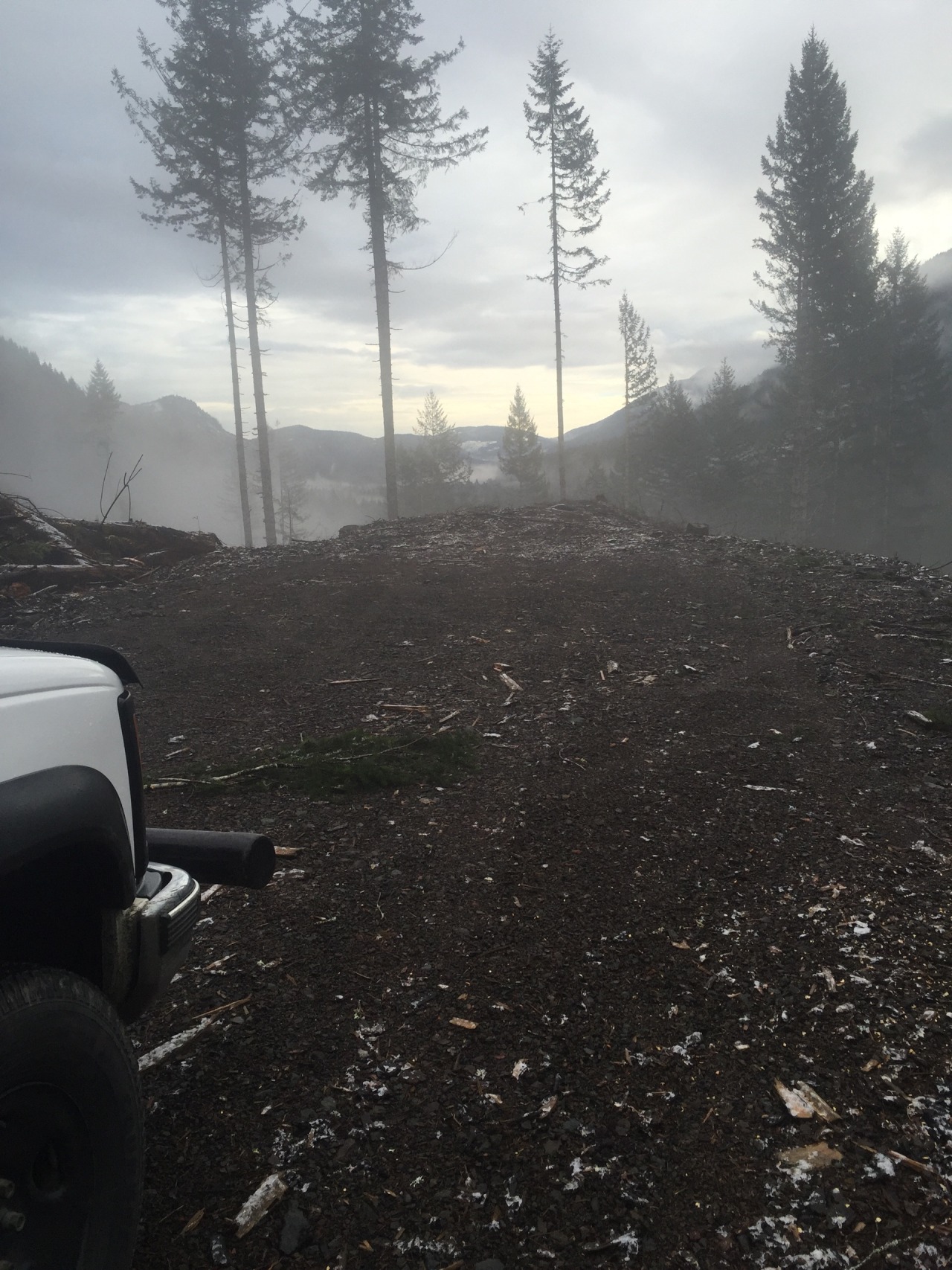 Little firewood adventure , loving my pnw life. Who doesn&rsquo;t love a man