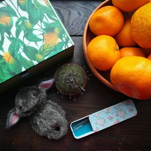 it&rsquo;s so great when it&rsquo;s snowing outside, and you have tangerines and favorite wo