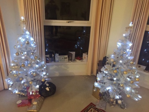 updatedphan:(posted on 12/22/15 at 6:20PM GMT)