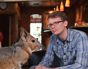 edwardspoonhands:  progshell:  It’s hard to say the best thing about Sci Show,
