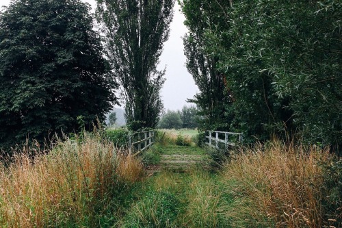 oldfarmhouse:Farmland Via@flickr@mg92672
