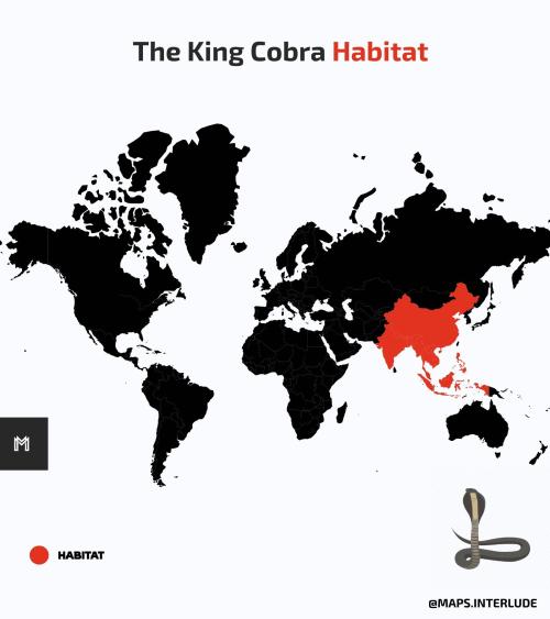 Where does the king cobra live?by maps.interlude