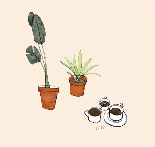fawnyy:  favourite things // plants & tea 