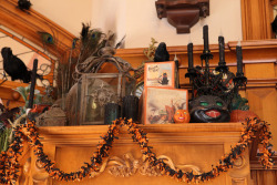 topiaryheart:main street usa halloween decor, 2014