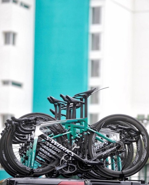 apisonadora60:#Sworks | #specialized | #bikeporn | #cycling  Via: @iamspecialized_road / Cyclingsnob
