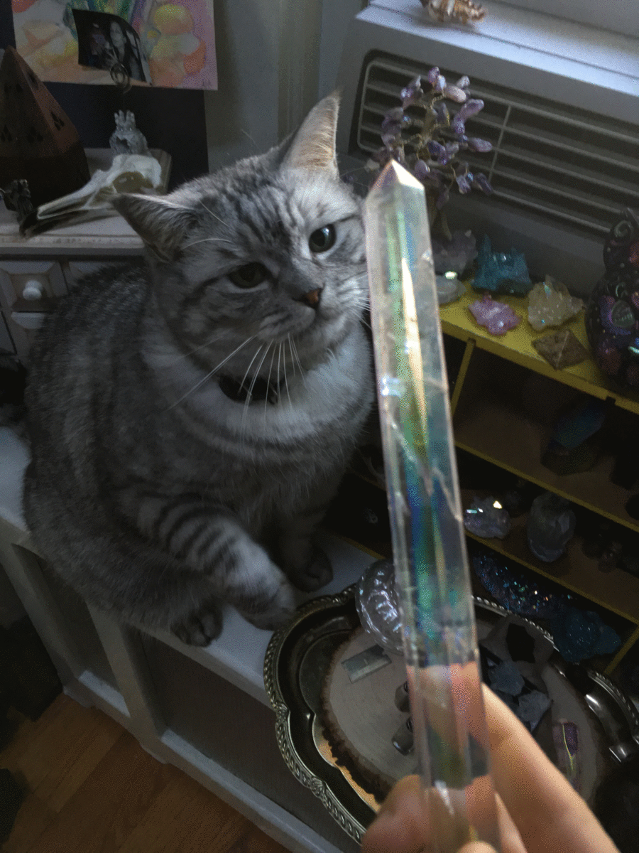 mamadivaa:  adrien-rose:  mamadivaa: Greedy crystal kitty!!!  Why isn’t she evolving