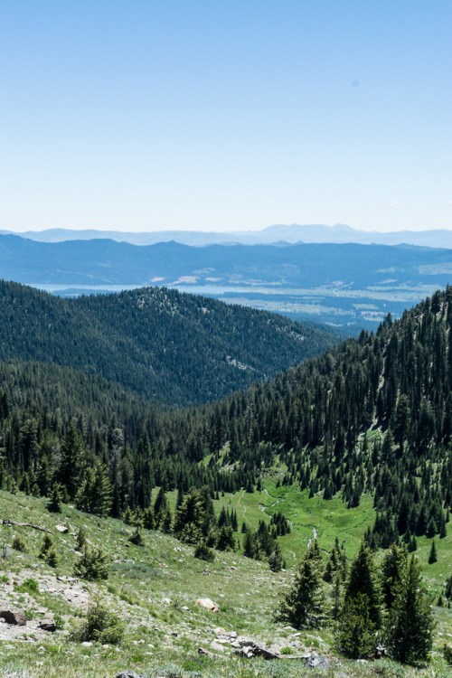 Twin Lakes Trail #1633, Elkhorn Mountains, Oregon | July 2018 Instagram | VSCO