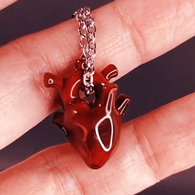 STIM - Anatomical Heart