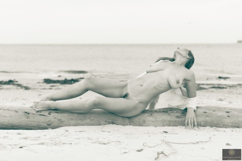 vassanta:  @light turns to life photography