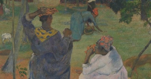 “Gauguin & Laval in Martinique” at Van Gogh Museum, Amsterdam @vangoghmuseum ___________________