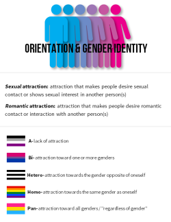 Mxcleod:  Mmikan:  Here’s Information About Sexual/Romantic Orientations And Gender