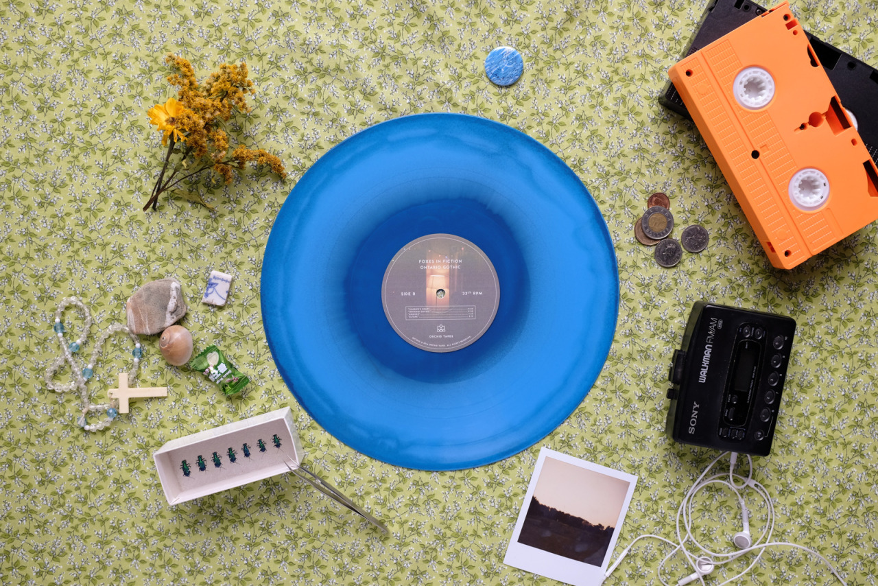 kateoplis:  Vinyl Fever, Clay Rossner | Tumblr 