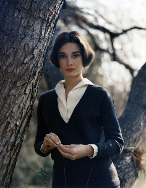 rareaudreyhepburn:Audrey Hepburn photographed by Sid Avery at her home in Los Angeles, California, 1