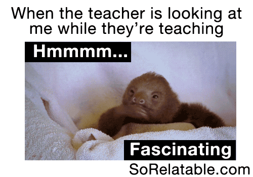 sorelatable:  More So Relatable Posts Here  The bottom one yes!
