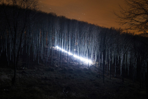 itscolossal:Streaks of Light Illuminate Hungarian Forests During a Full Moon by David Lados