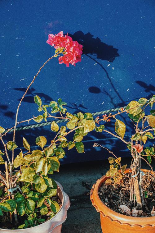 Sittichai Maikupandin Aka Sitti Maiku (Thai, B. Bangkok, Thailand) - Ordinary Place Series, Photography