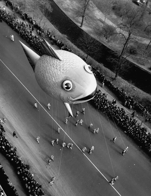 froghair:  joeinct:  Fish Balloon, Macy’s Thanksgiving Day Parade, Photo by John Phillips, 194