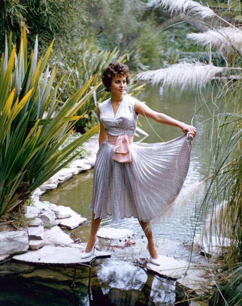 hedgerowbandit:Sophia Loren