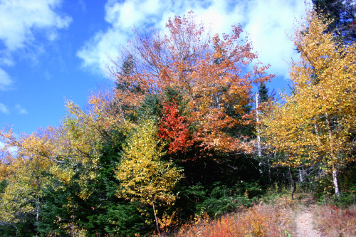 twilightsolo-photography: Mountain TrailKancamagus Highway ©twilightsolo-photography