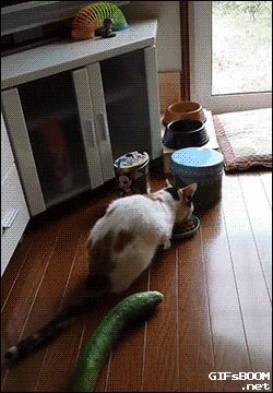 dbareactions:  When I unlock my workstation and realize I left a transaction open
