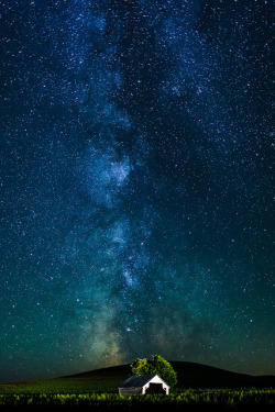 brutalgeneration:  Milky Ways by PuttSk on Flickr. 