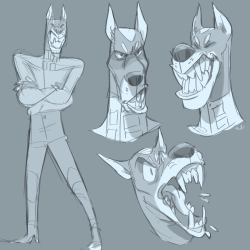 polartoon:  Sketches from stream, working on a doberman pinscher character named Rosko 