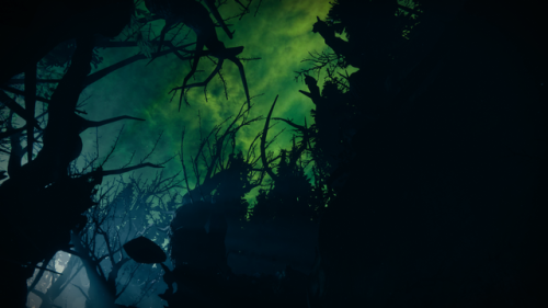 haruspis: destiny 2 | the dark forest   “You adult photos