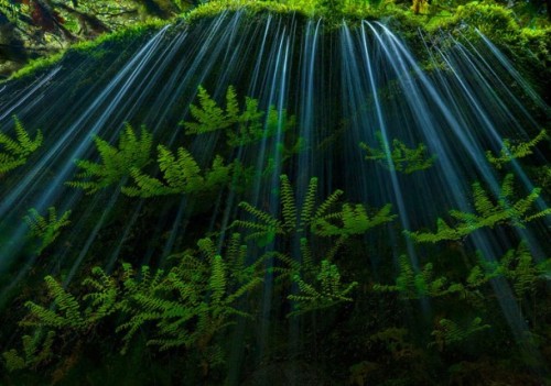 renamonkalou:  Colors of our nature | Marc Adamus 
