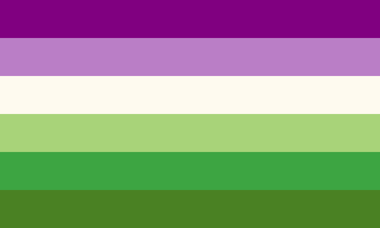 Gendies N More Ace Aro Queer Solidarity Flag